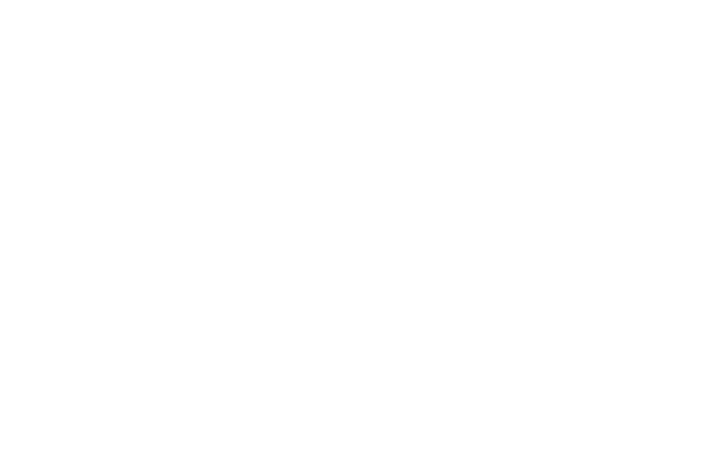 TopHand Payments Logo